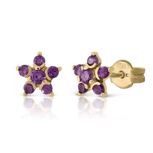 Pendientes Rosette Zirconita Amatista