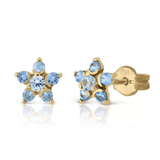 Pendientes Rosette Zirconita Agua Marina