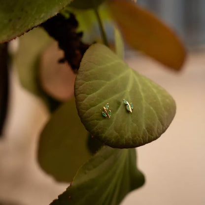 Pendientes Oro 18 Quilates Laurel Esmeralda